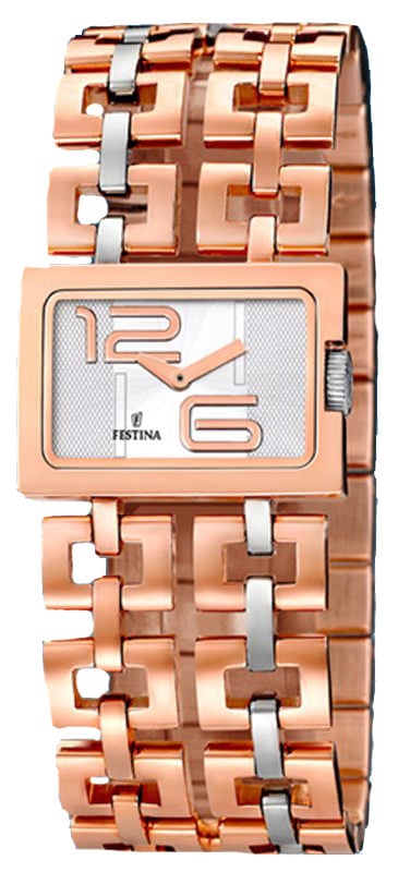 Festina F16321/1
