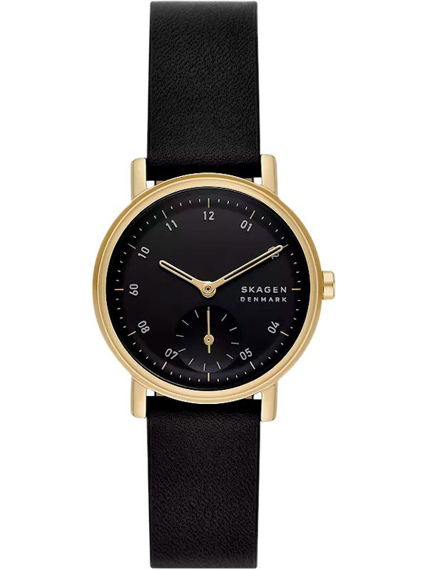 Skagen SKW3114