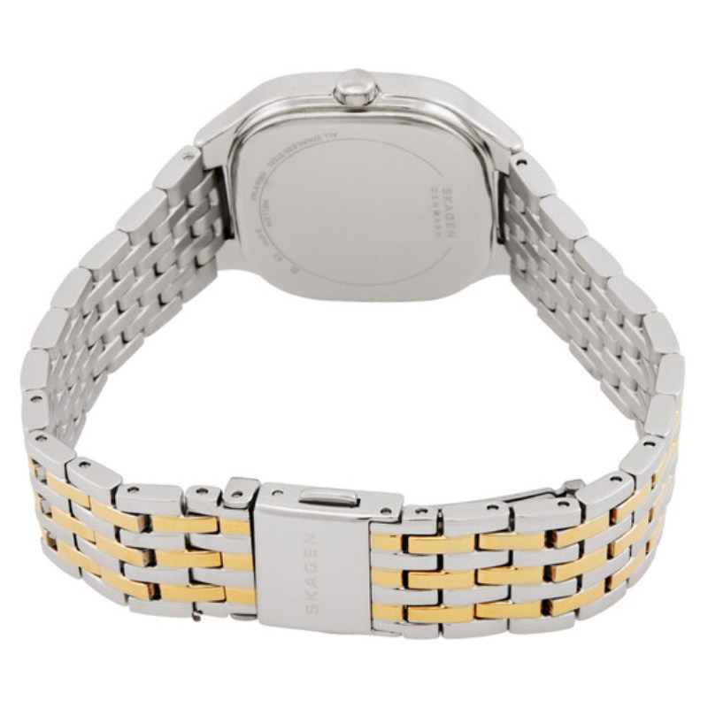 Skagen SKW3160 Skagen SKW3160