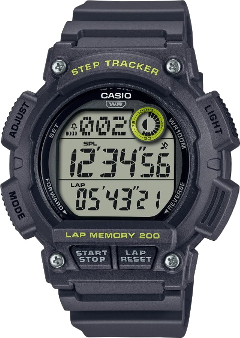 Casio WS-2100H-8A